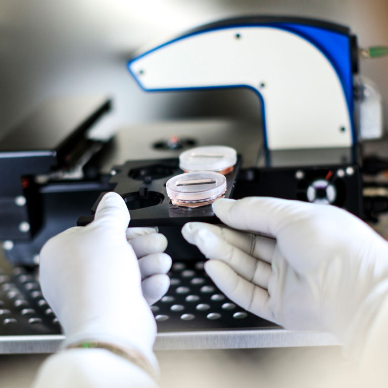 Incubator microscope imaging inside incubator