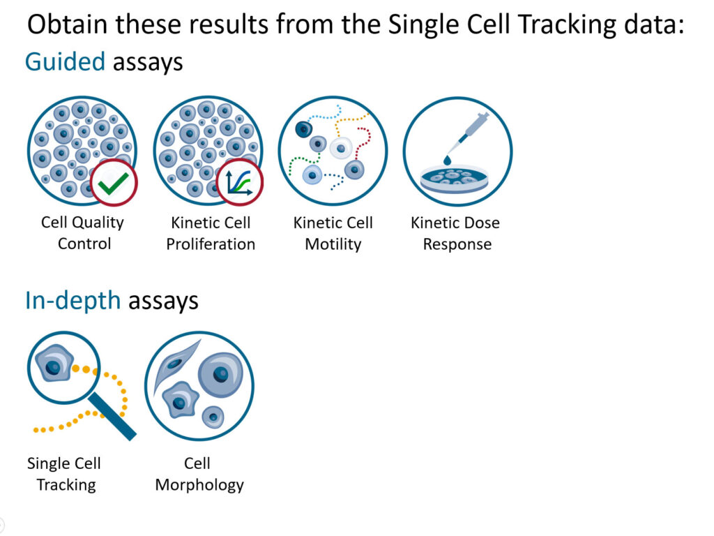 Single-cell-tracking-assay-protocol-setup-reanalysis-icons