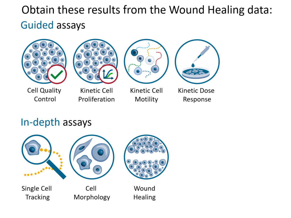 Wound-healing-assay-protocol-reanalysis-icons