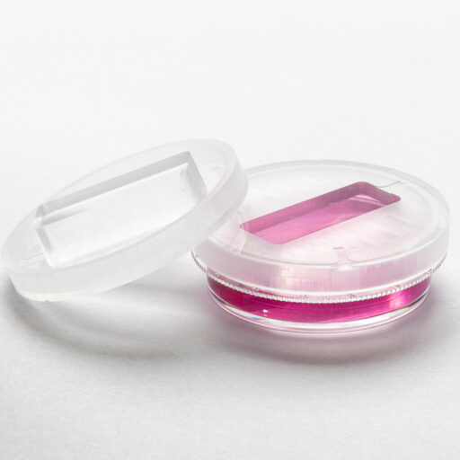 HoloLids Sarstedt_PD_1