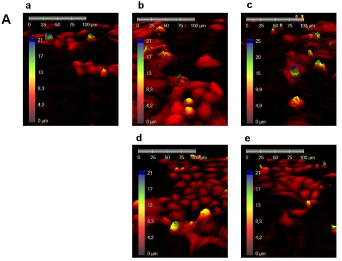drug discovery live cell imaging