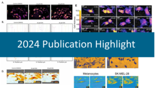 2024 Publication Highlight